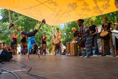Roots 2018