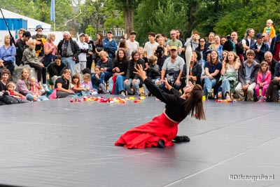 Amsterdam Roots Festival 2025