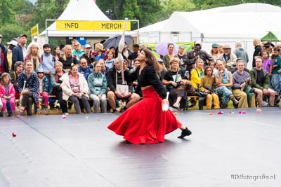 Amsterdam Roots Festival 2025