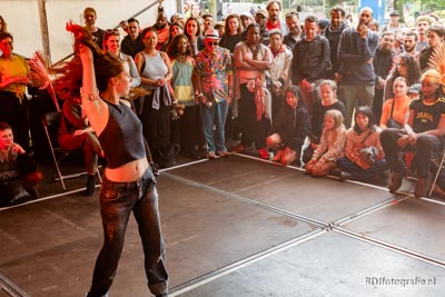 Amsterdam Roots Festival 2025