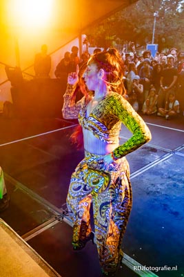 Amsterdam Roots Festival 2025