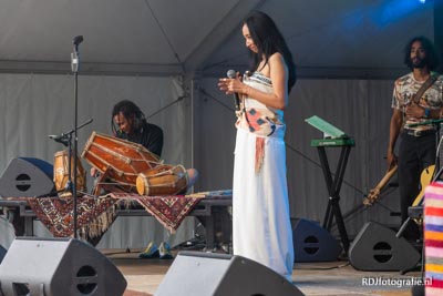 Amsterdam Roots Festival 2025