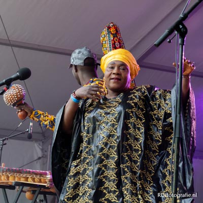 Amsterdam Roots Festival 2025