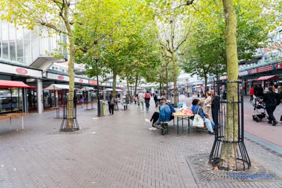 40 jaar Reigersbos