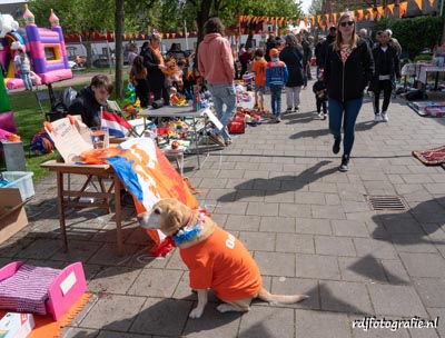 Koningsdag 2023